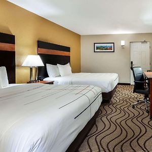 Double Room Two Double Beds