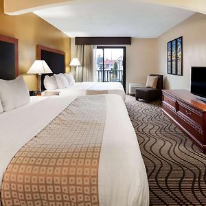 Studio Suite Two King Beds Non-Smoking